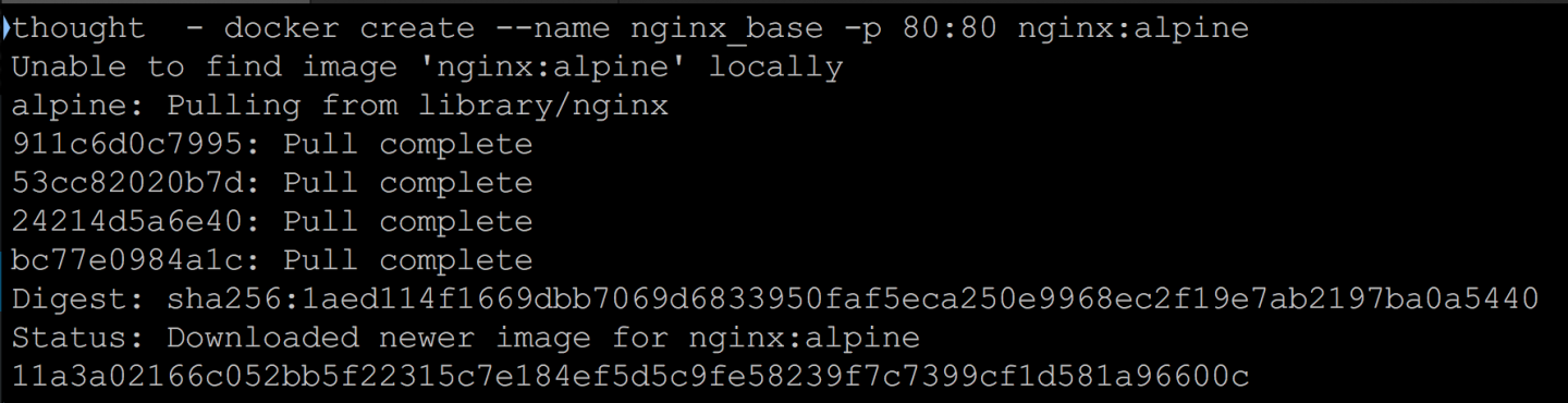 nginx installed