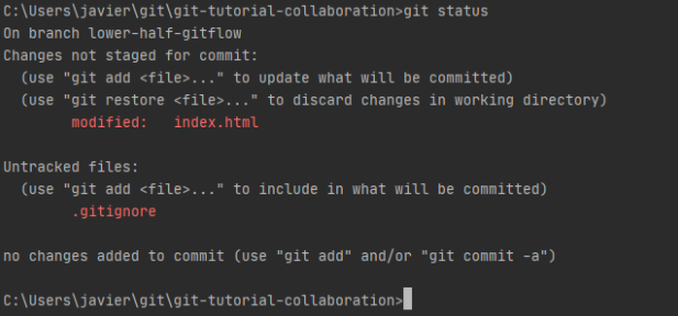 git status display